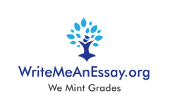 Can an Agency Write College Essay for Me? I need 1 Good Website